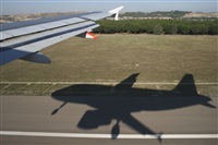 Rui Alves - Madeira Spotters. Click to see full size photo