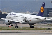 Jos Miguel Bernases - Noisy Spotters. Click to see full size photo