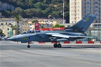 ©Salvador de la Rubia ( Marbella Spotters ). Click to see full size photo ©Salvador de la Rubia ( Marbella Spotters ). Click to see full size photo