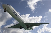 Rui Alves - Madeira Spotters. Click to see full size photo