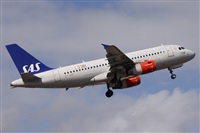 Alfonso Sols - Asociacin Canary Islands Spotting. Click to see full size photo