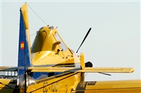 Ss. Click to see full size photo