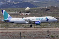 Miguel A. gueda Rguez.  (CANARY ISLANDS SPOTTING). Click to see full size photo
