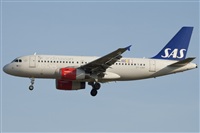 Miguel Alia - Noisy Spotters. Click to see full size photo