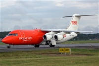 Rodrigo Carvalho - Noisy Spotters. Click to see full size photo