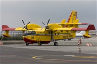 Ayoze Santana Mendez - Canary Islands Spotting. Click to see full size photo