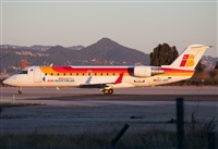 Miguel Alia - Noisy Spotters. Click to see full size photo
