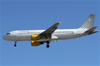 ©Alfonso Solís - Asociación Canary Islands Spotting. Click to see full size photo ©Alfonso Solís - Asociación Canary Islands Spotting. Click to see full size photo