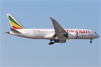 Miguel Alia - Noisy Spotters. Click to see full size photo