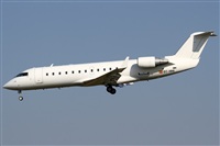 Rubn Gil - Noisy Spotters. Click to see full size photo