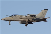Fco Javier Garca Ruiz. Click to see full size photo