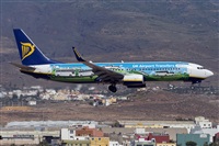 ©Adolfo Bento - Gran Canaria Spotters. Click to see full size photo ©Adolfo Bento - Gran Canaria Spotters. Click to see full size photo