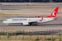 Miguel A. gueda Rguez.  (CANARY ISLANDS SPOTTING). Click to see full size photo