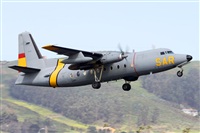 ©Nacho Rodriguez - Canary Islands Spotting. Click to see full size photo ©Nacho Rodriguez - Canary Islands Spotting. Click to see full size photo