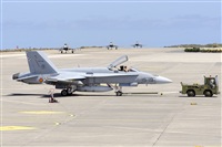 Paco Muoz Arencibia - Gran Canaria Spotters. Click to see full size photo