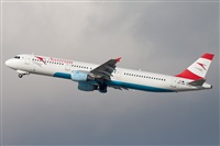 Miguel Alia - Noisy Spotters. Click to see full size photo