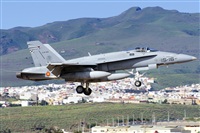 Paco Muoz Arencibia - Gran Canaria Spotters. Click to see full size photo