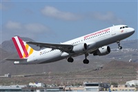 ©Alfonso Solís - Asociación Canary Islands Spotting. Click to see full size photo ©Alfonso Solís - Asociación Canary Islands Spotting. Click to see full size photo