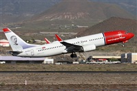 ©Alfonso Solís - Asociación Canary Islands Spotting. Click to see full size photo ©Alfonso Solís - Asociación Canary Islands Spotting. Click to see full size photo