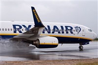 Miguel Martin Cordeiro - Iberian Spotters. Click to see full size photo