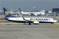 Nacho Rodriguez - Canary Islands Spotting. Click to see full size photo