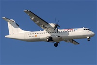 ©Daniel Santos Batista - Canary Islands Spotting. Click to see full size photo ©Daniel Santos Batista - Canary Islands Spotting. Click to see full size photo