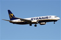 ©Alfonso Solís - Asociación Canary Islands Spotting. Click to see full size photo ©Alfonso Solís - Asociación Canary Islands Spotting. Click to see full size photo