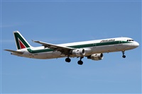 ©Alfonso Solís - Asociación Canary Islands Spotting. Click to see full size photo ©Alfonso Solís - Asociación Canary Islands Spotting. Click to see full size photo