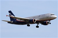 Alfonso Sols - Asociacin Canary Islands Spotting. Click to see full size photo
