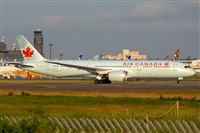 Miguel A. gueda Rguez.  (CANARY ISLANDS SPOTTING). Haz click para ampliar