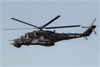 Tams. Click to see full size photo