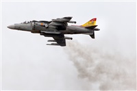 Javier de la Cruz - CANARY ISLANDS SPOTTING. Click to see full size photo