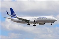 Miguel A. gueda Rguez.  (CANARY ISLANDS SPOTTING). Click to see full size photo