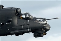 Tams. Click to see full size photo