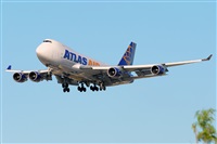 Miguel A. gueda Rguez.  (CANARY ISLANDS SPOTTING). Click to see full size photo