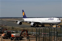 Alfonso Sols - Asociacin Canary Islands Spotting. Haz click para ampliar