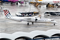 Javier de la Cruz - CANARY ISLANDS SPOTTING. Click to see full size photo