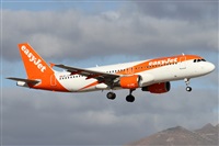 ©Alfonso Solís - Asociación Canary Islands Spotting. Click to see full size photo ©Alfonso Solís - Asociación Canary Islands Spotting. Click to see full size photo
