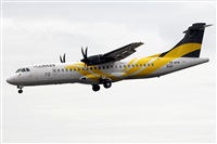 Adrin Alonso Lemes - Lanzarote Spotters. Haz click para ampliar