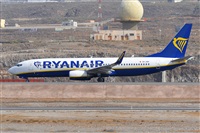 Miguel A. gueda Rguez.  (CANARY ISLANDS SPOTTING). Click to see full size photo