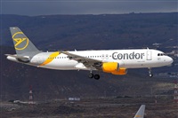 Miguel A. gueda Rguez.  (CANARY ISLANDS SPOTTING). Click to see full size photo