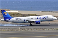 Miguel A. gueda Rguez.  (CANARY ISLANDS SPOTTING). Click to see full size photo