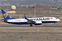 Miguel A. gueda Rguez.  (CANARY ISLANDS SPOTTING). Click to see full size photo