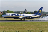 Miguel A. gueda Rguez.  (CANARY ISLANDS SPOTTING). Click to see full size photo