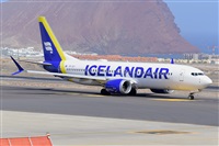 Miguel A. gueda Rguez.  (CANARY ISLANDS SPOTTING). Click to see full size photo