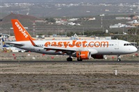 Alfonso Sols - Asociacin Canary Islands Spotting. Click to see full size photo
