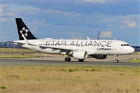 Miguel A. gueda Rguez.  (CANARY ISLANDS SPOTTING). Click to see full size photo