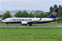 Miguel A. gueda Rguez.  (CANARY ISLANDS SPOTTING). Click to see full size photo