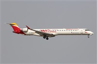 Adrin Alonso Lemes - Lanzarote Spotters. Click to see full size photo