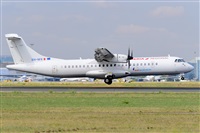 Miguel A. gueda Rguez.  (CANARY ISLANDS SPOTTING). Click to see full size photo